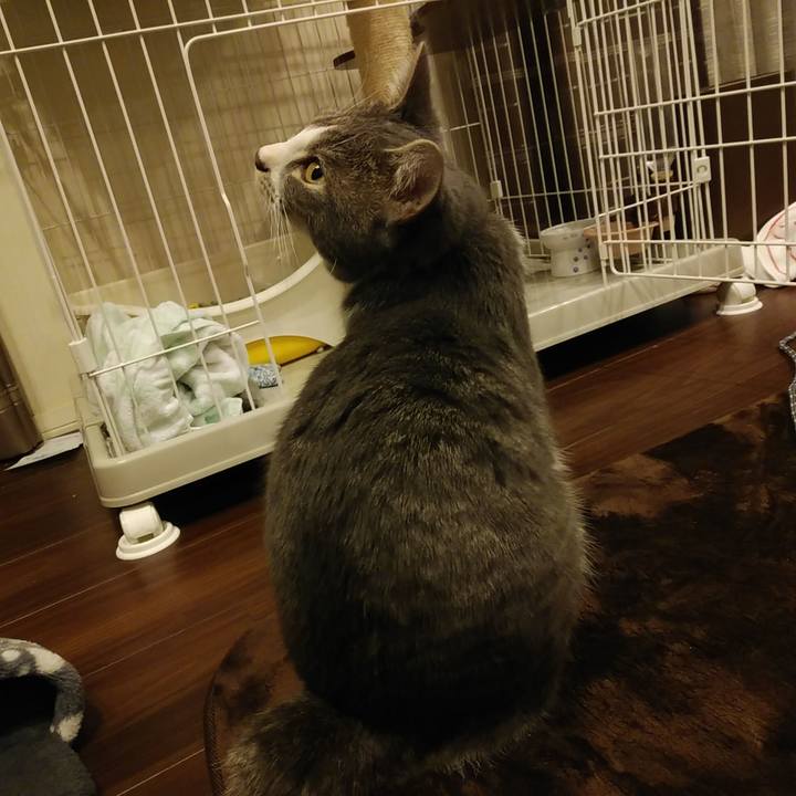 18f53390 85e8 4736 943e 69149d2e2b9d 1576577486232