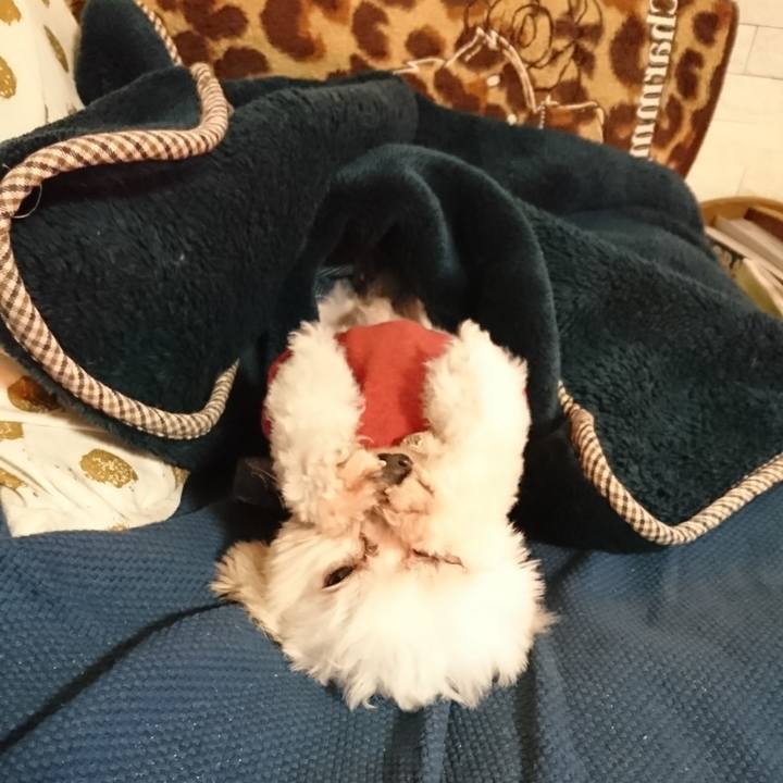 18f53757 8c1e 4abe ae6e 5c7ff4ca2ff1 1547174358881