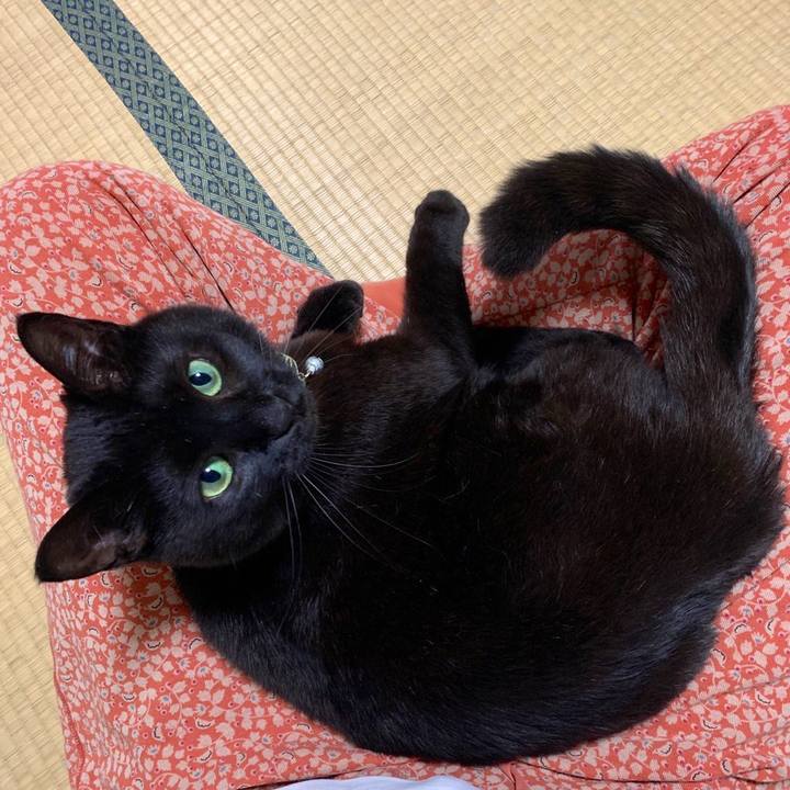 18f53afb 0f03 4522 a082 84b130f08e93 1594945091266