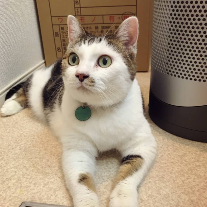 18f572c7 20f8 42a4 b9b9 1e7a081ab573 1599211471718