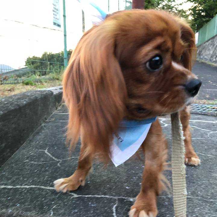 18f57697 9810 411f 8fe5 3b404100d022 1532297580384