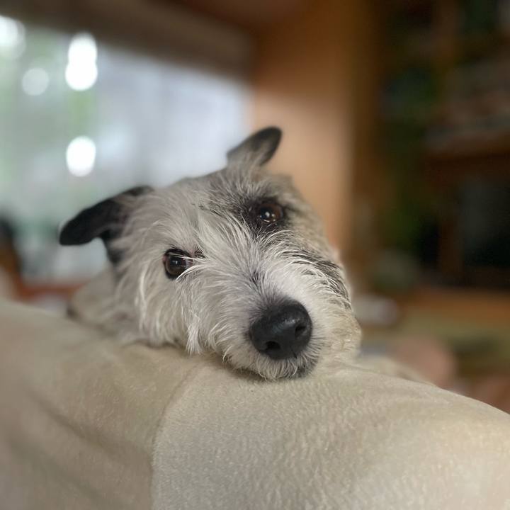 18f5afb3 0ef2 46dc 8fe0 2ed61d22ef59 1754781239845