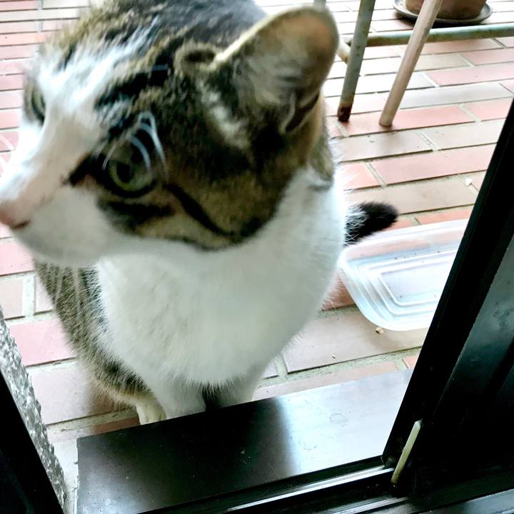 18f5b891 1897 46a9 b29d 139458c4fcb9 1548472385704