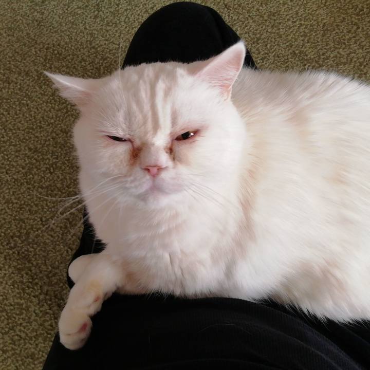 18f5d6c5 6f1e 4ef1 ad2e 5157c25abc54 1739313841011