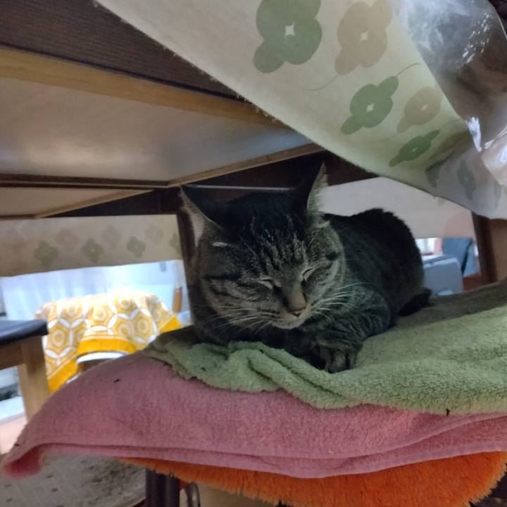 18f5f66a cf4a 4ff0 8c72 6bb99acf353a 1702976727246