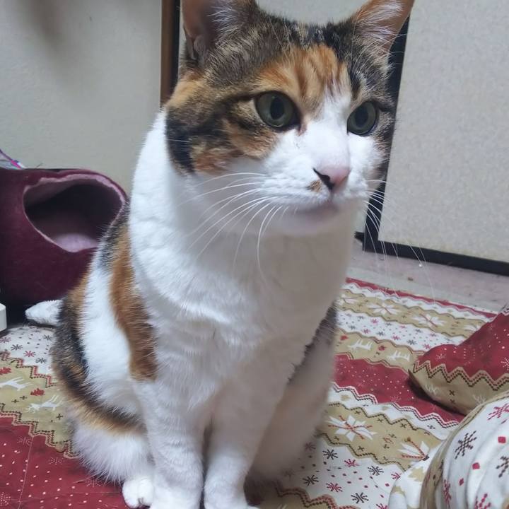 18f62b63 7f8d 4908 9086 ad108ae3f941 1579310160466