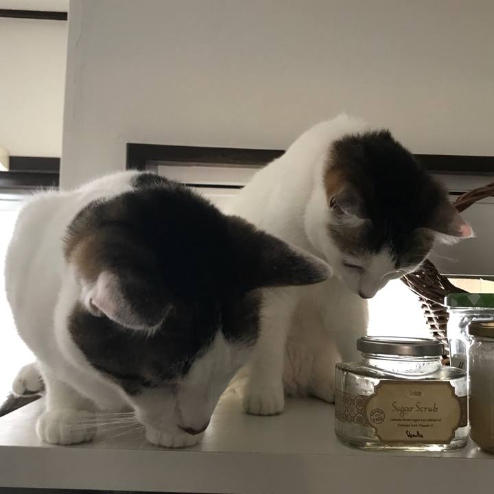 18f63b85 6e25 4fef be03 c63f6ce13fe6 1527984777303