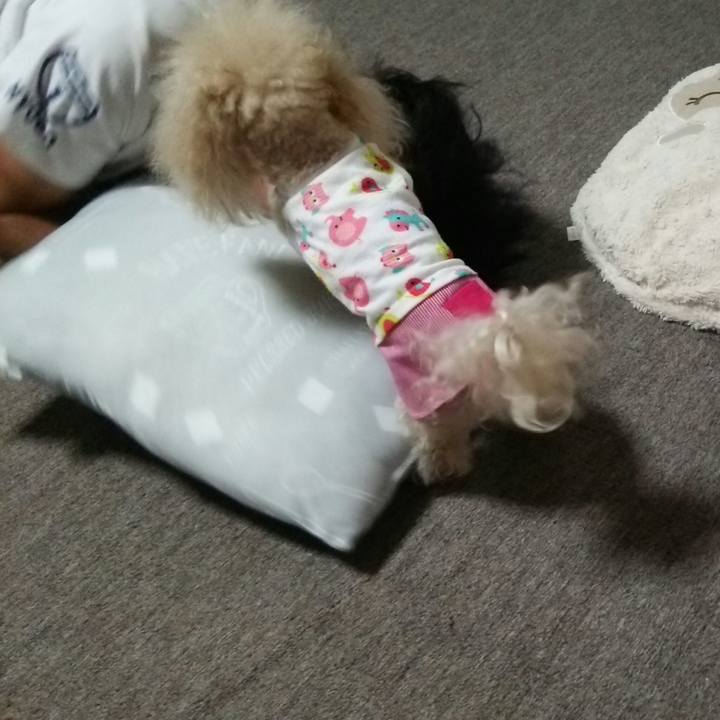 18f64187 e75e 4aa7 9716 3852e95fa7ba 1532609531412