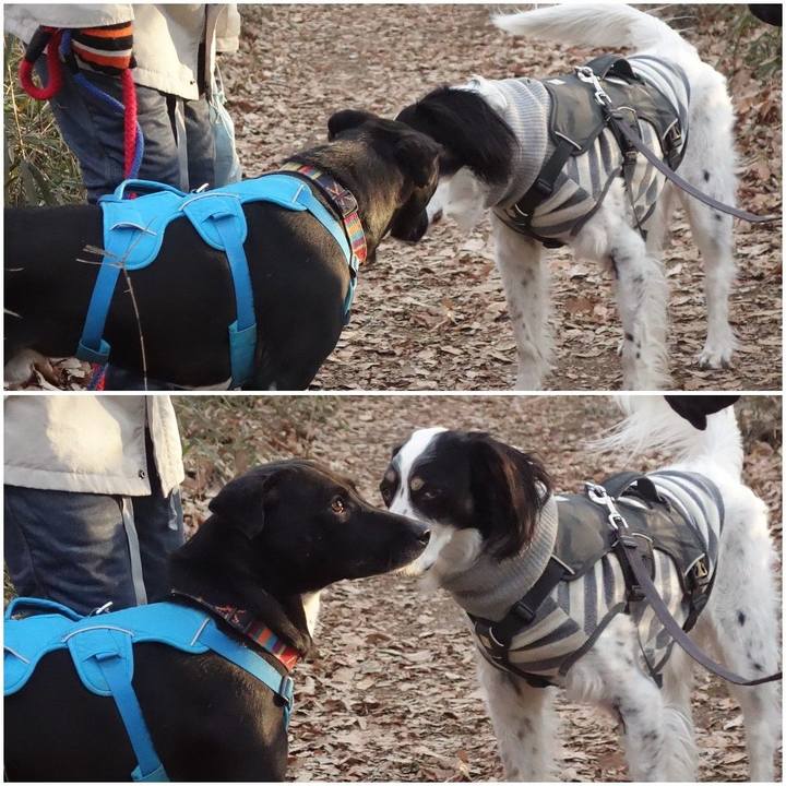 18f651d7 7a68 40bc 889d 7707398ee201 1611101817462