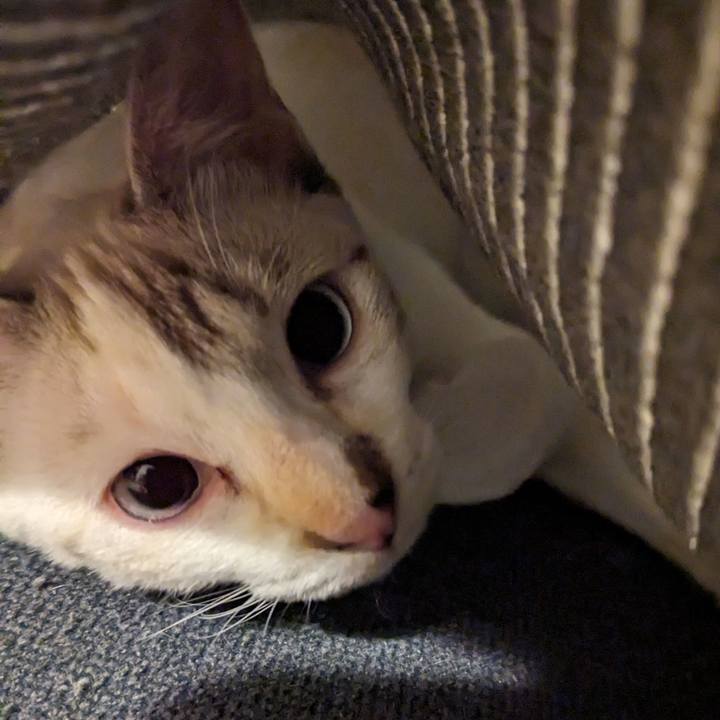 18f66948 b658 4c63 b33e 9aee736f842a 1697361750545