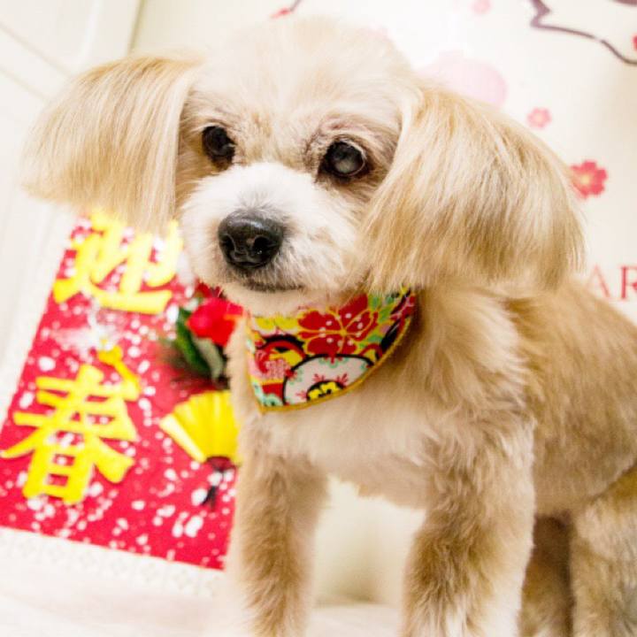 18f66d7b 7fd8 438b b45c 95253184b373 1515401598463