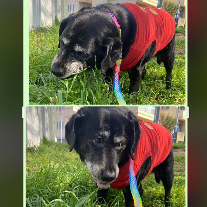 18f69344 7efd 49ad 8b7f 5742c8c60c2e 1678842311664