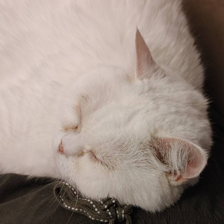 18f6c22a 9850 4bee b1a3 e3adc7ac019c 1624659894306