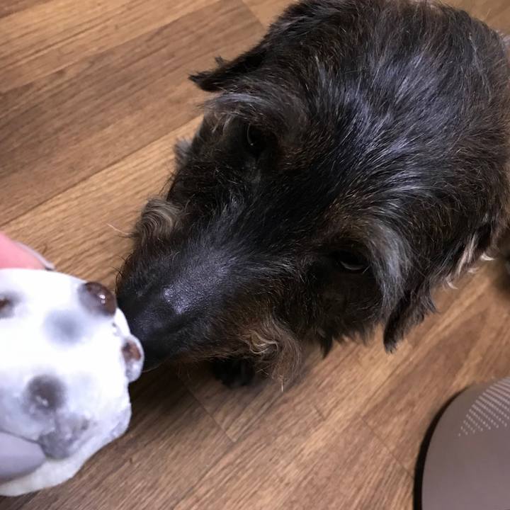 18f6e2a0 ddb4 4b59 b5af 225b20b1bde7 1523195063402