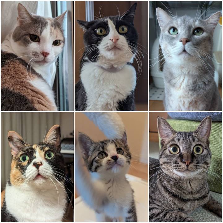 18f6e86f 4a74 4b39 8d06 72867f7b15e7 1719830917392