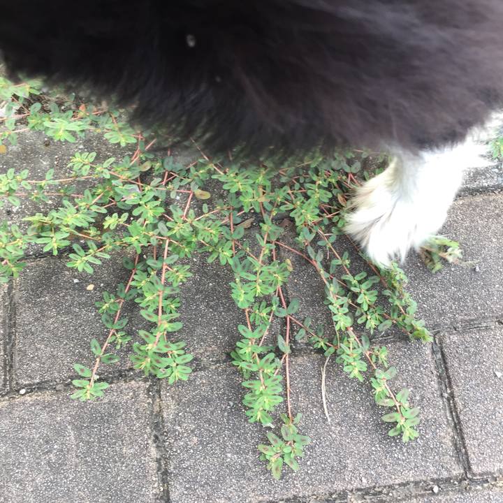 18f71248 d4b6 4caa 8bd3 4dd9fbf64d68 1568073822742