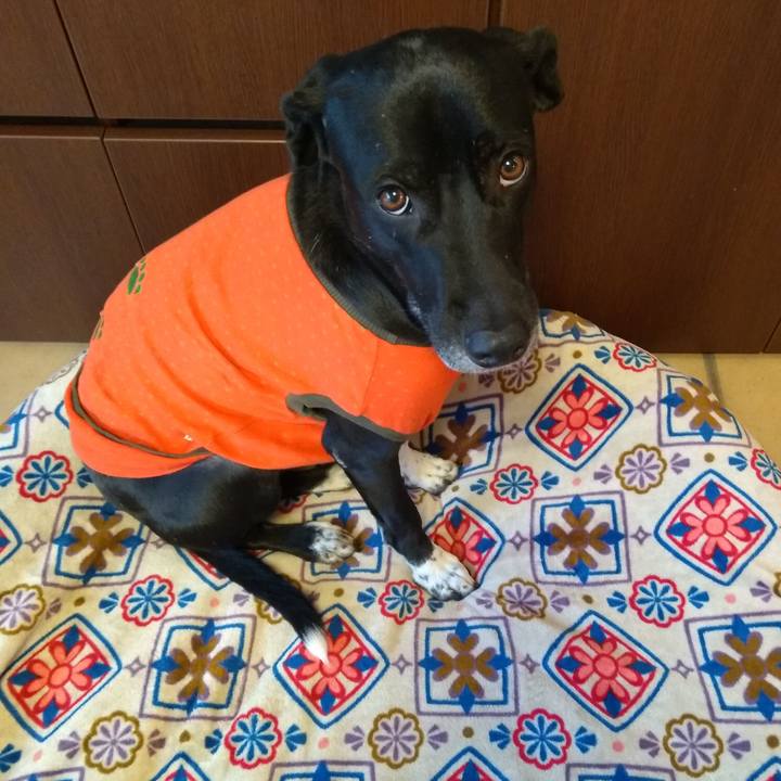 18f7148a 47dc 4a62 9964 67eeb713764c 1609115570407