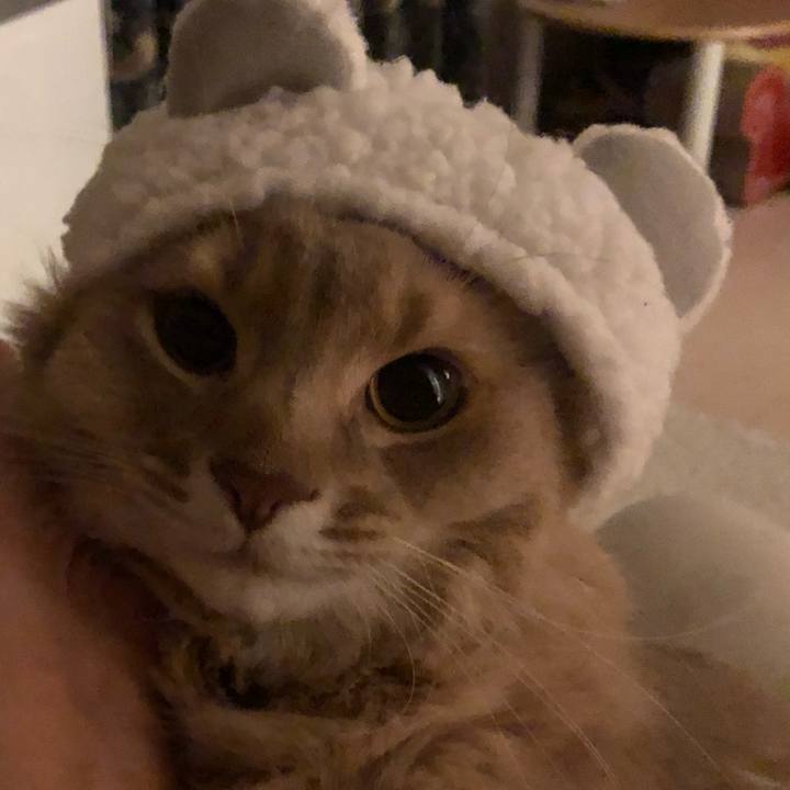 18f725db 88e8 42c6 ab4a c843159734a0 1583076581970