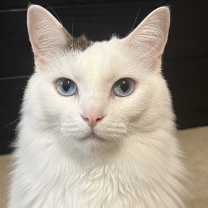 18f76de7 fbcf 4216 a54a aa8393f13e20 1767368255685