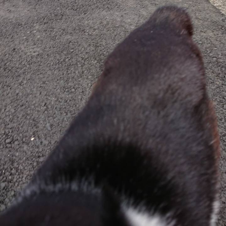 18f7c8d1 0b62 4ba6 b109 b57f48b8907c 1617433642620