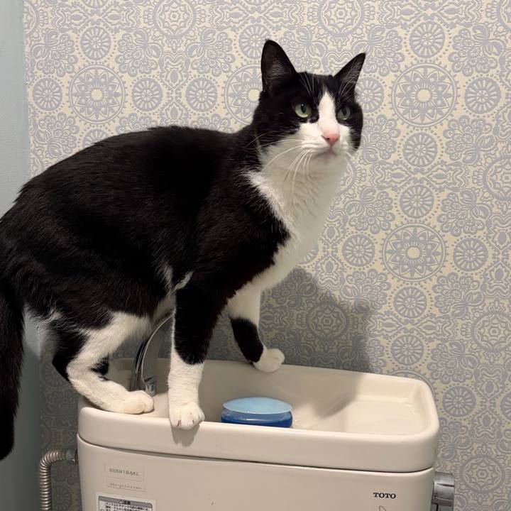 18f7e3f3 9d86 4bca 96c3 f7d9acfcce62 1770811746827