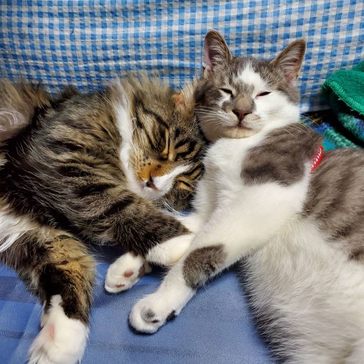 18f825d0 dd38 49ca 9ff6 9ed9bc5cff3c 1675135389369