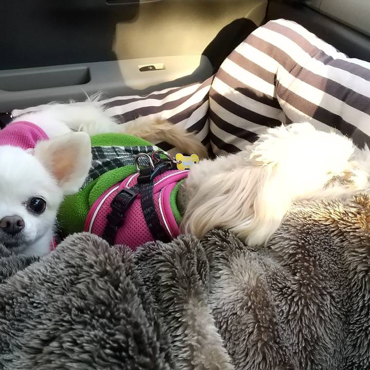 18f837f1 a692 41d3 a76c 9dfe7b3b3884 1605445903982