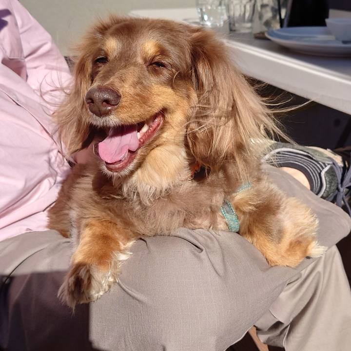 18f85a5d e810 451f 894d 09ebd55ae8f7 1679205785752