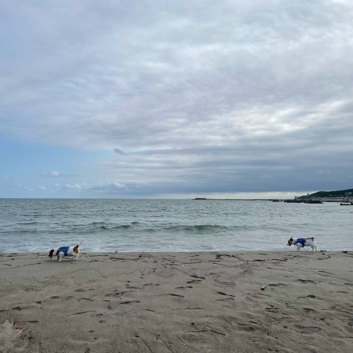 18f89c2f 52ea 4f5a 95da 518cc75ae04b 1722904501354