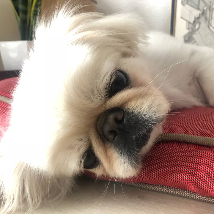 18f8bc7e 9366 4809 b217 f71ee0eb85ae 1539822022835