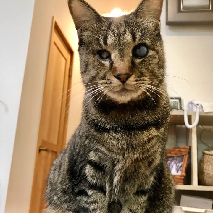 18f8c219 cab9 4726 96d5 88c3713f4f8f 1611406541333