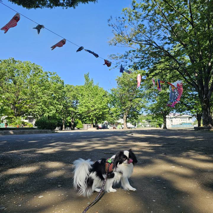 18f8c284 6bfb 479c 8362 65830dd33062 1715258046322