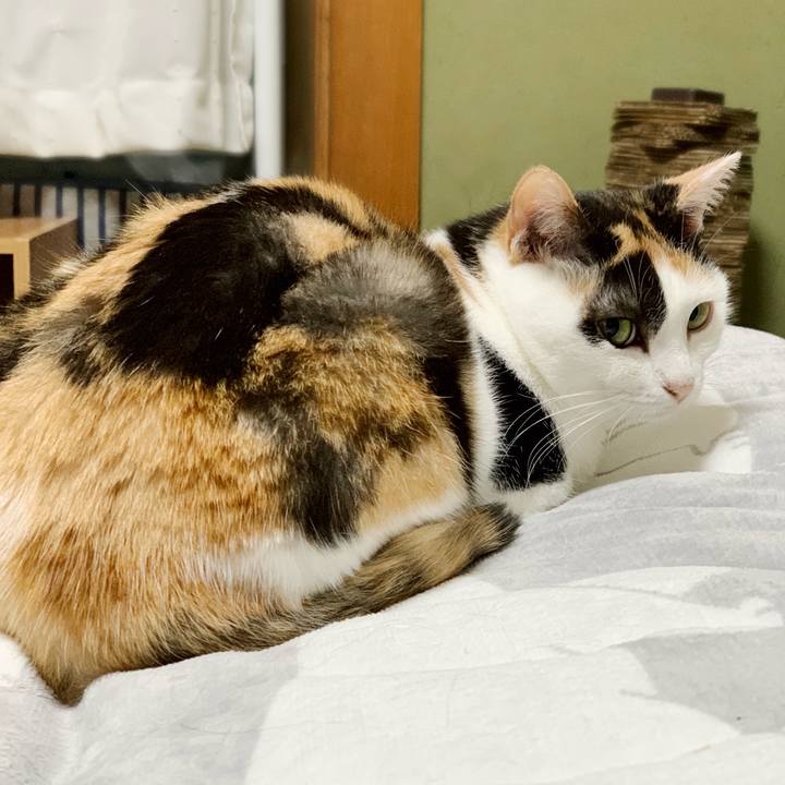 18f8d23b 9eb5 409a b581 0bd82f0663bb 1541990337290