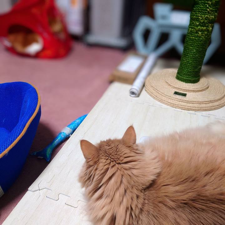 18f8edfe 07b4 4139 8816 e30d602c130a 1683272501447