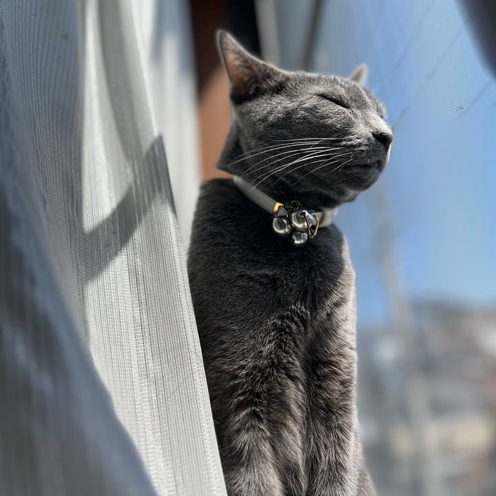 18f8f01e dd24 47f9 922e b6f858b6db05 1745196471831