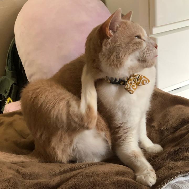 18f934ee 1e17 4a29 b37a 2631757b9b91 1585443259571