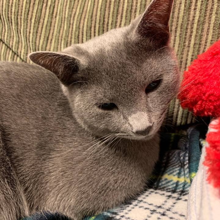 18f93d07 63f8 4e6c a48d d8e29445f26b 1579300596110