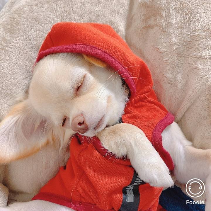 18f94872 4c63 43d4 bc1d e35051660e5a 1605961277476