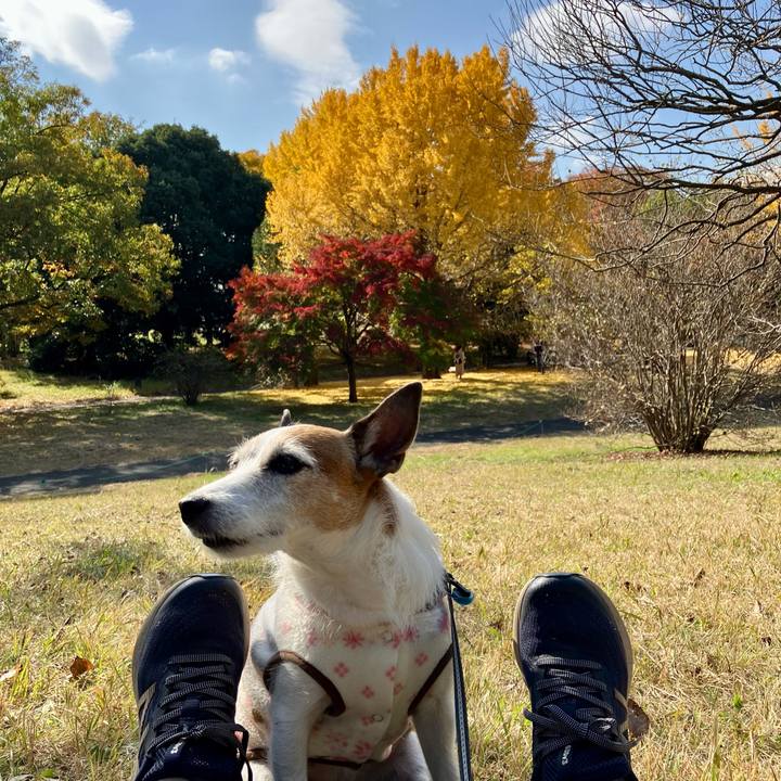 18f96ccd 427e 4f44 b07d 5aee2c097a99 1668382423137