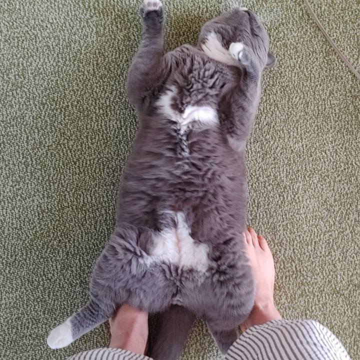 18f9ddb9 f4dc 4167 9644 17f9fbbb9c9c 1658537526954