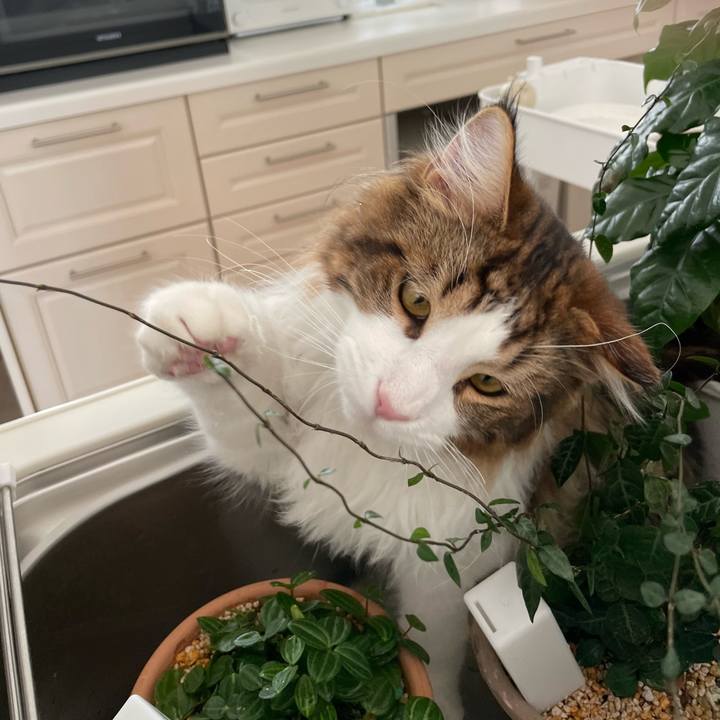 18fa19fd 7685 4a57 94cf 99b2b25e5ece 1645859528910