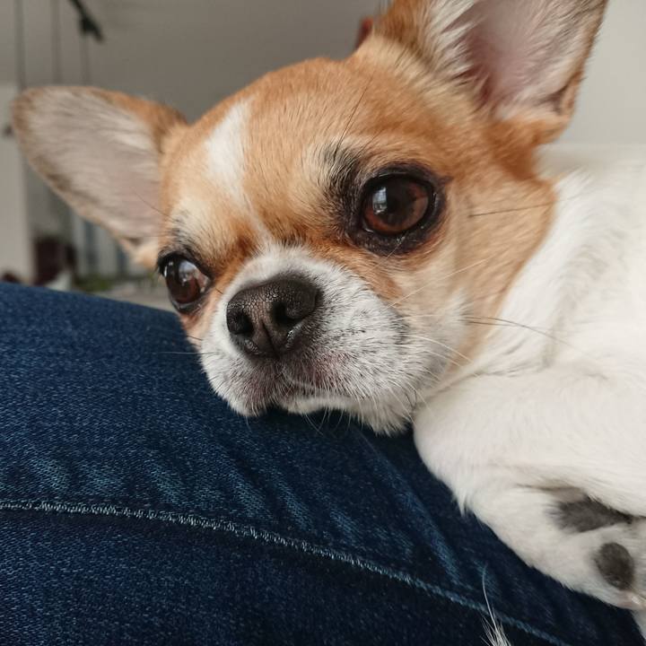 18fa32e9 0266 456f ad5b e57bfd76f69d 1616656305210