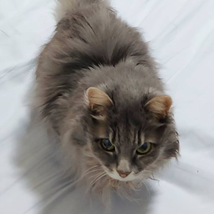 18fa8dd6 8095 4c82 9fd0 a3f78f771f48 1766698526719