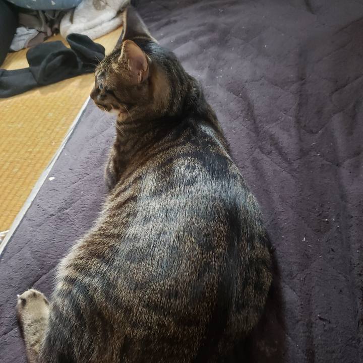 18fa95df 75b0 4972 af8e 4998ac7b7b1e 1560215292530