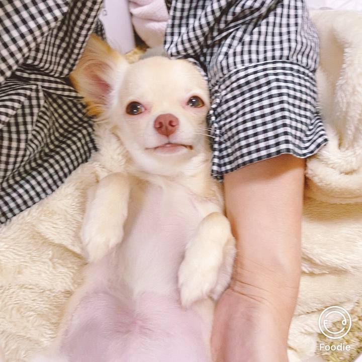 18faa253 9097 41d2 849e 6a35c425440f 1600496193077