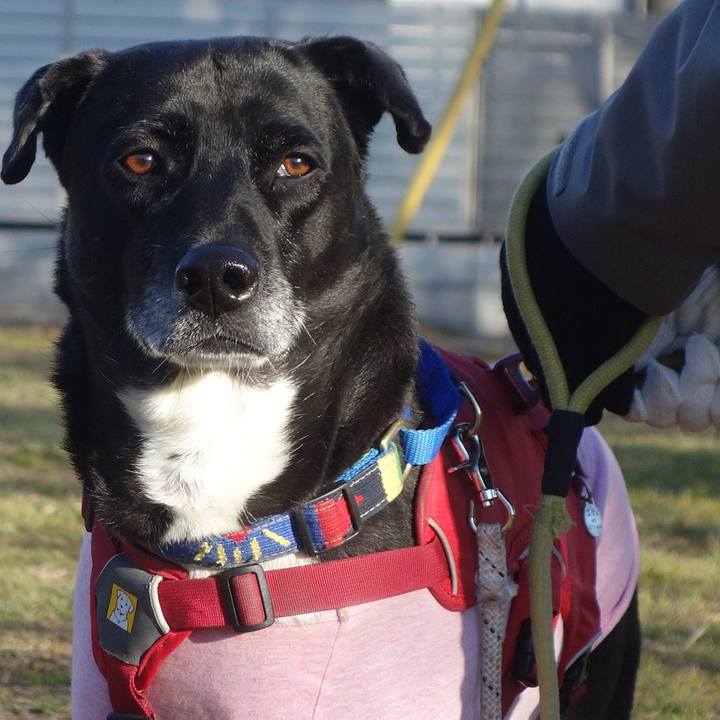 18fab956 2e73 4075 a15e 866892f0aa6a 1673313026568