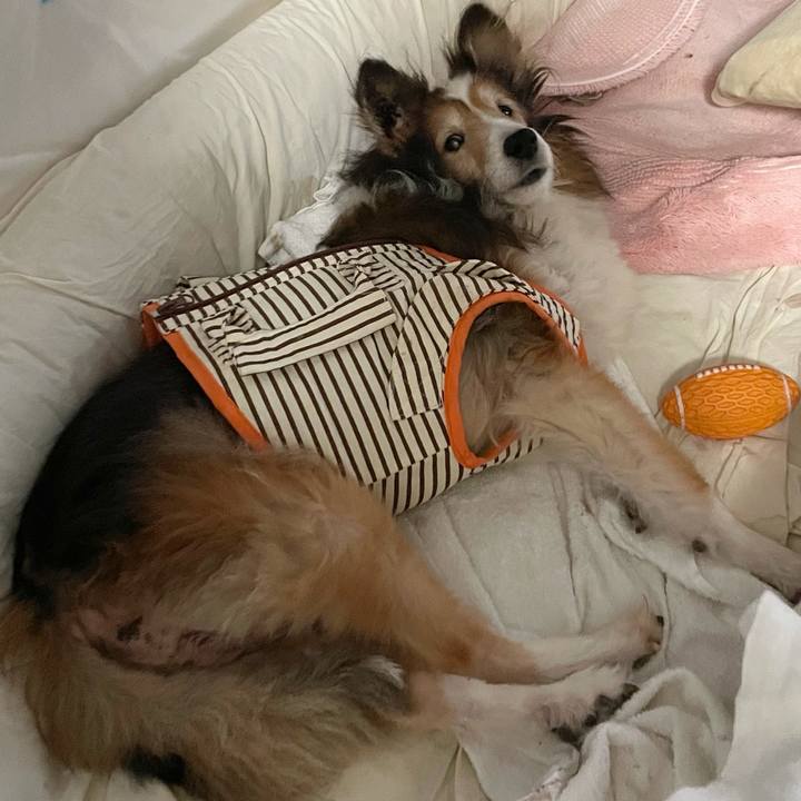 18facd4c 8b21 4c51 9ebd 0bdf82a6904d 1635069702973