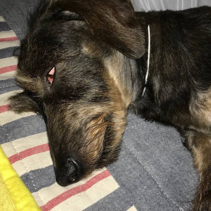 18fae938 d802 4a5e a884 20362ae670df 1558802039853