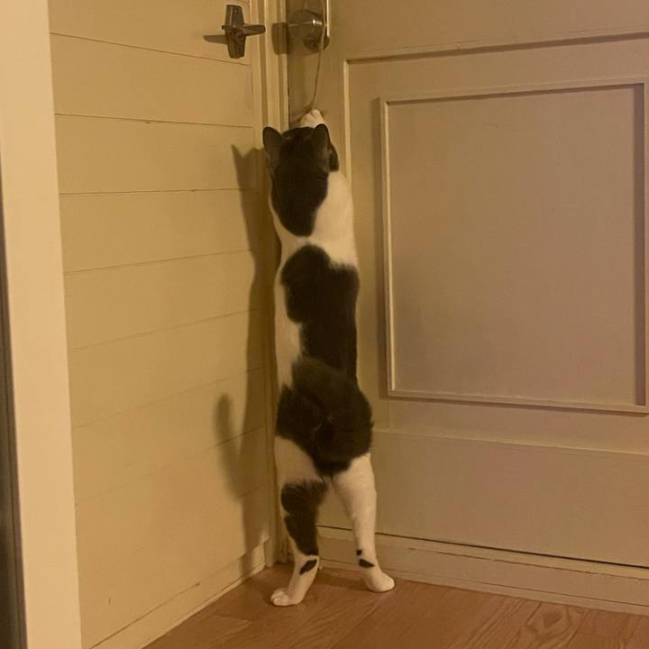 18faf32e 8b59 4b38 b912 11aa2a4274eb 1625650875123