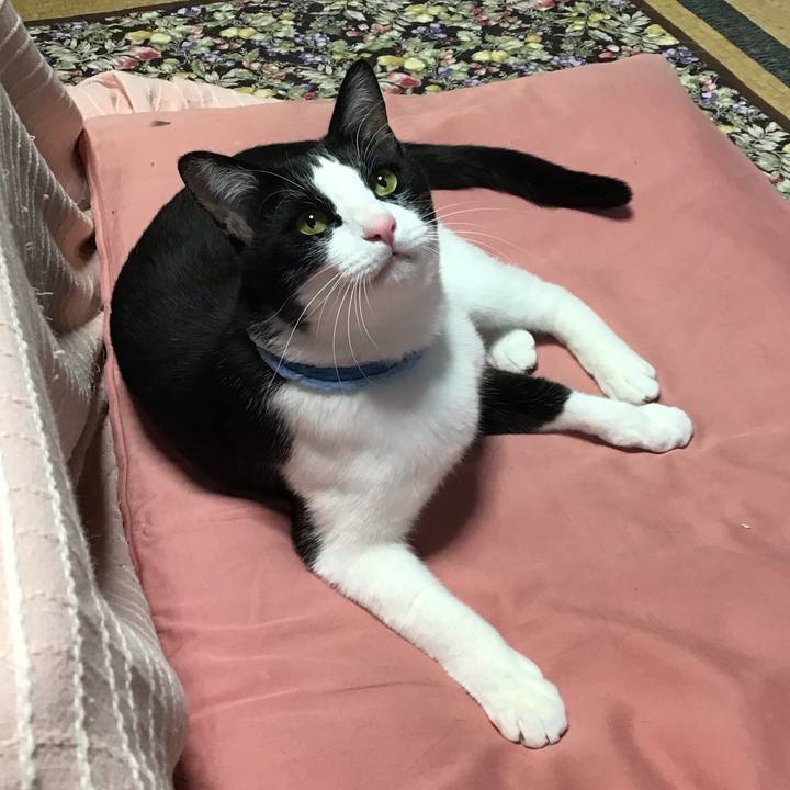 18fb270e cdca 4b64 aaa7 0300ece891a6 1683709580478